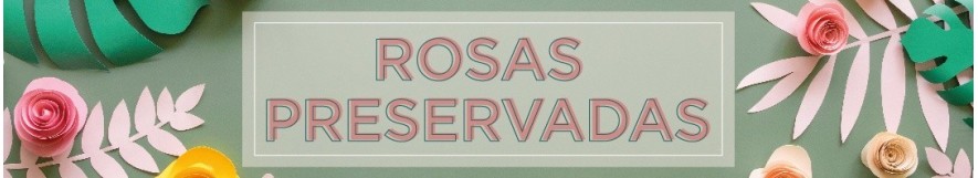 Rosas Preservadas